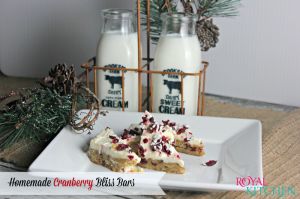 Homemade Cranberry Bliss Bars