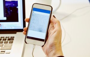 Close up of womans hand holding smartphone with blank screen