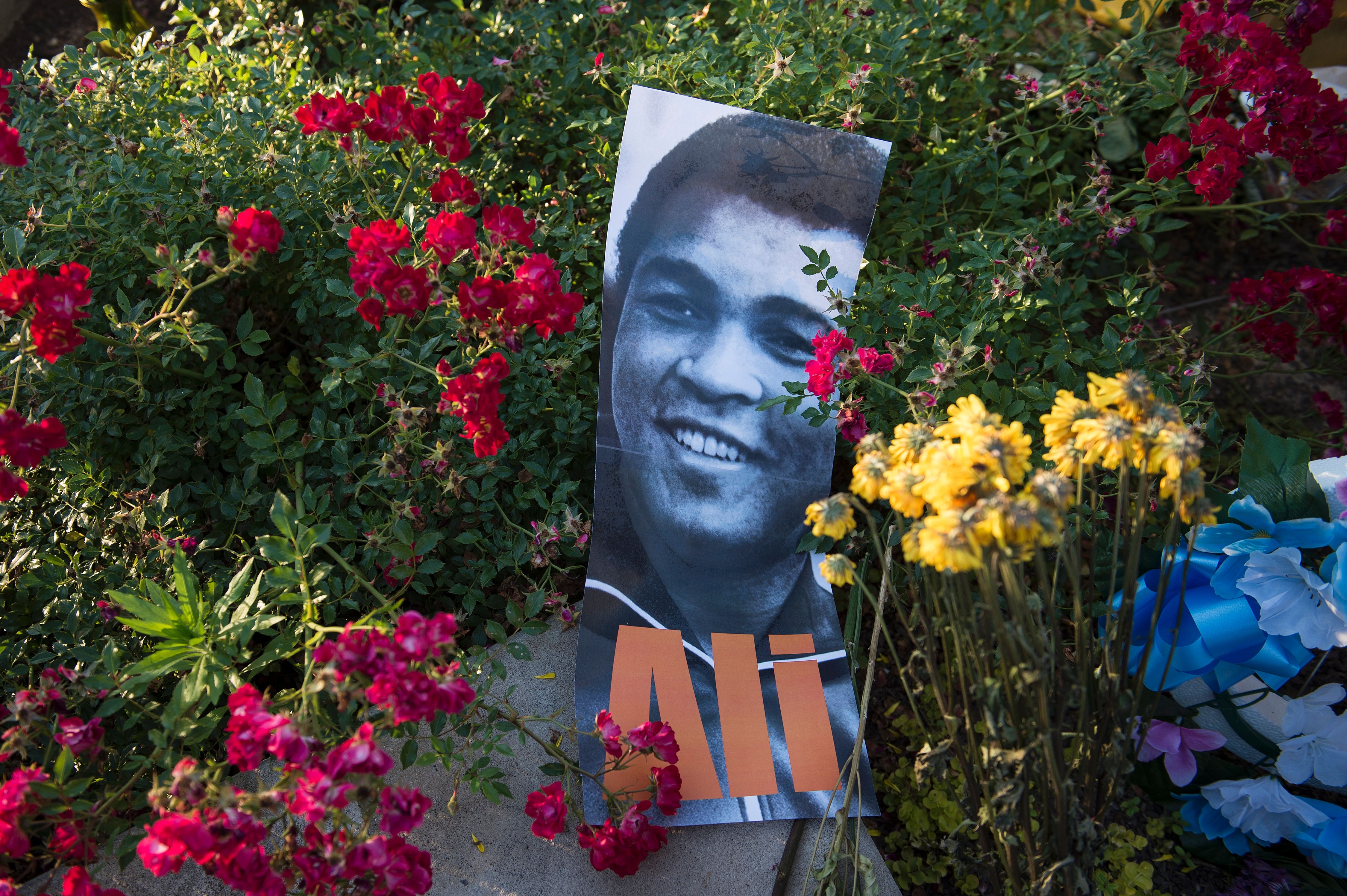 TOPSHOT-BOXING-US-ALI