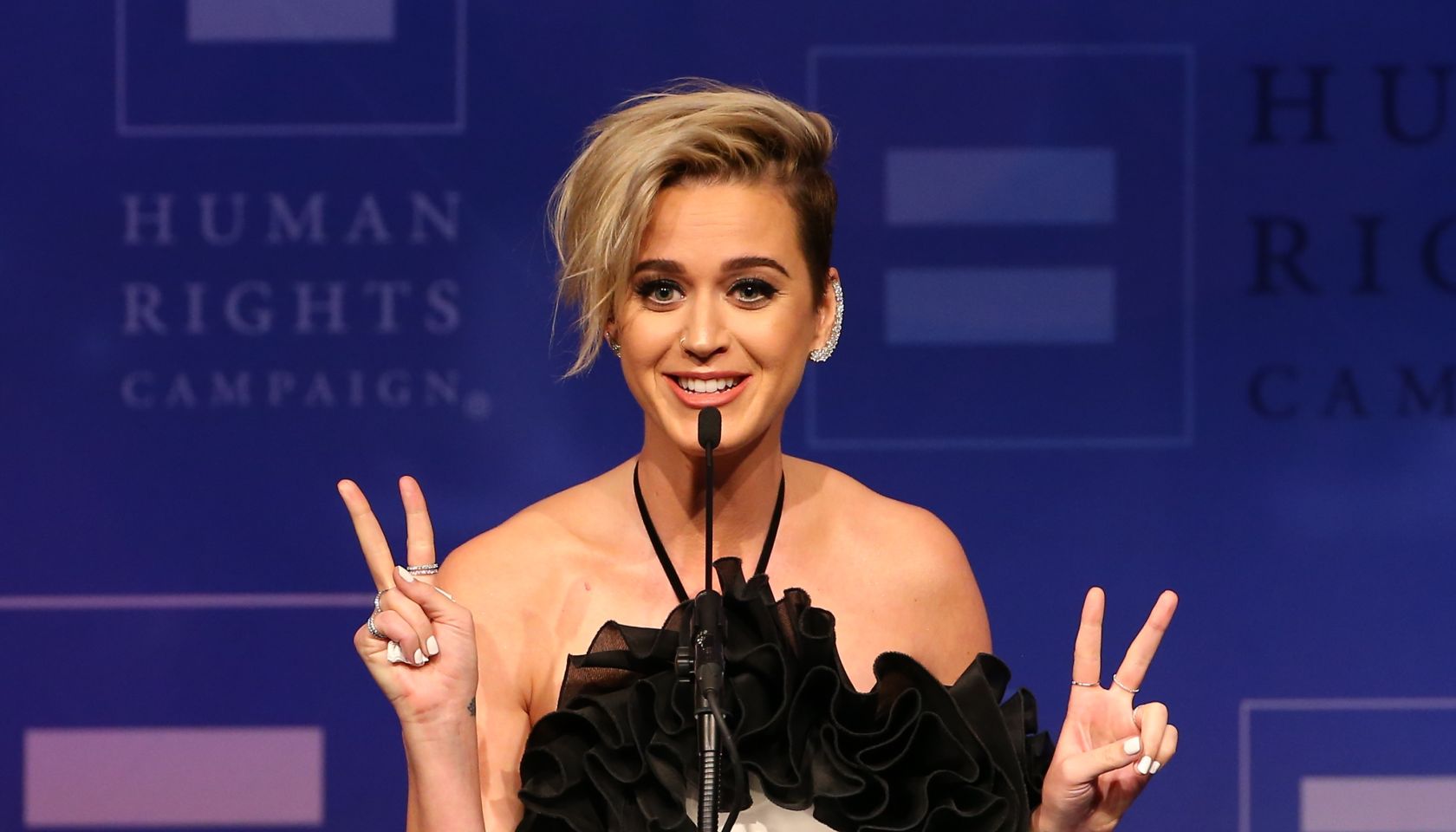 Human Rights Campaign's 2017 Los Angeles Gala Dinner - Show