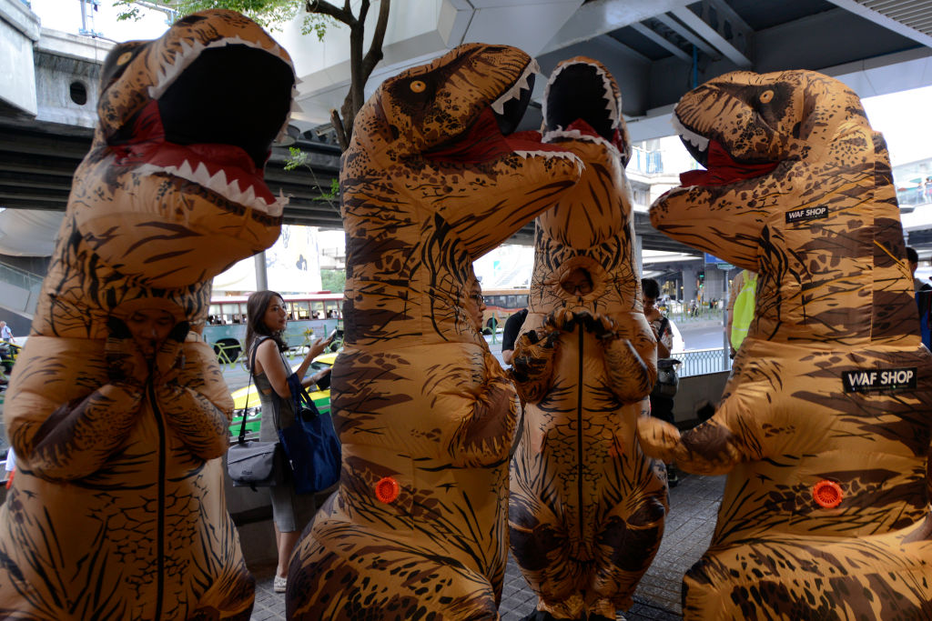 Daily Life in Bangkok