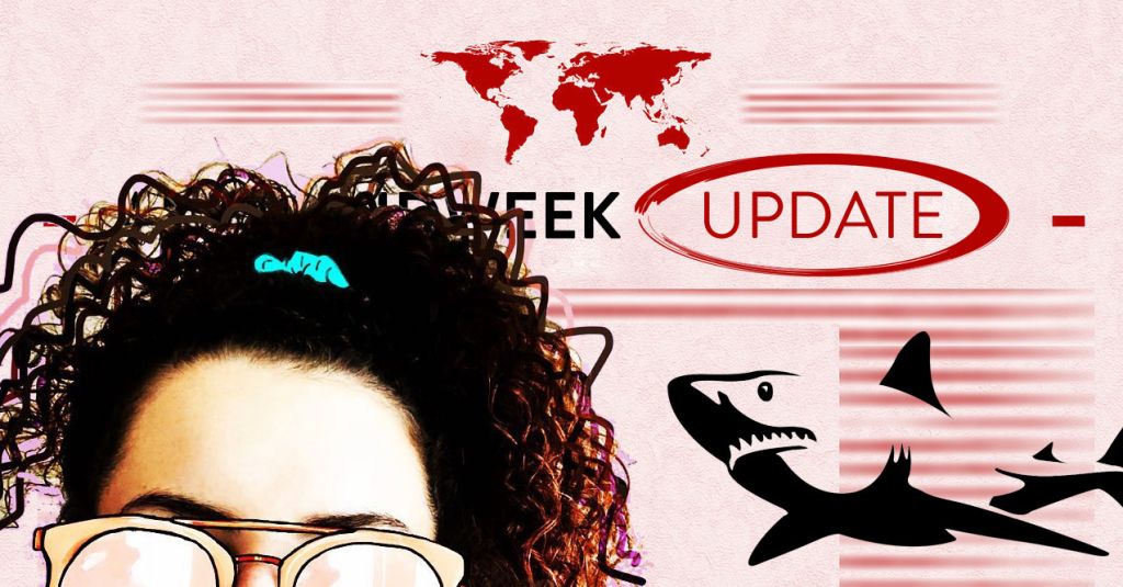 Ana's Midweek Update 080520
