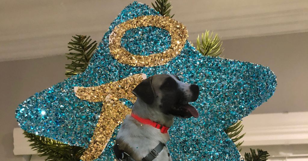 Christmas Decor