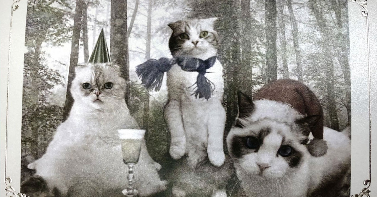 Taylor Swift Challenge